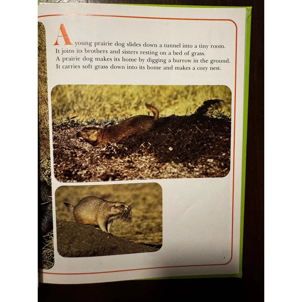 National Geographic Animals That Build Their Homes Vintage Hardcover Book 1970s
